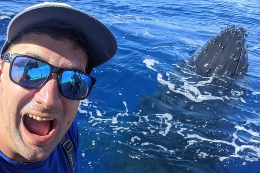 Up Close with Humpback Whales in Maui: What to Expect on the Water