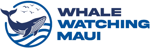 Go Whale Watching Maui